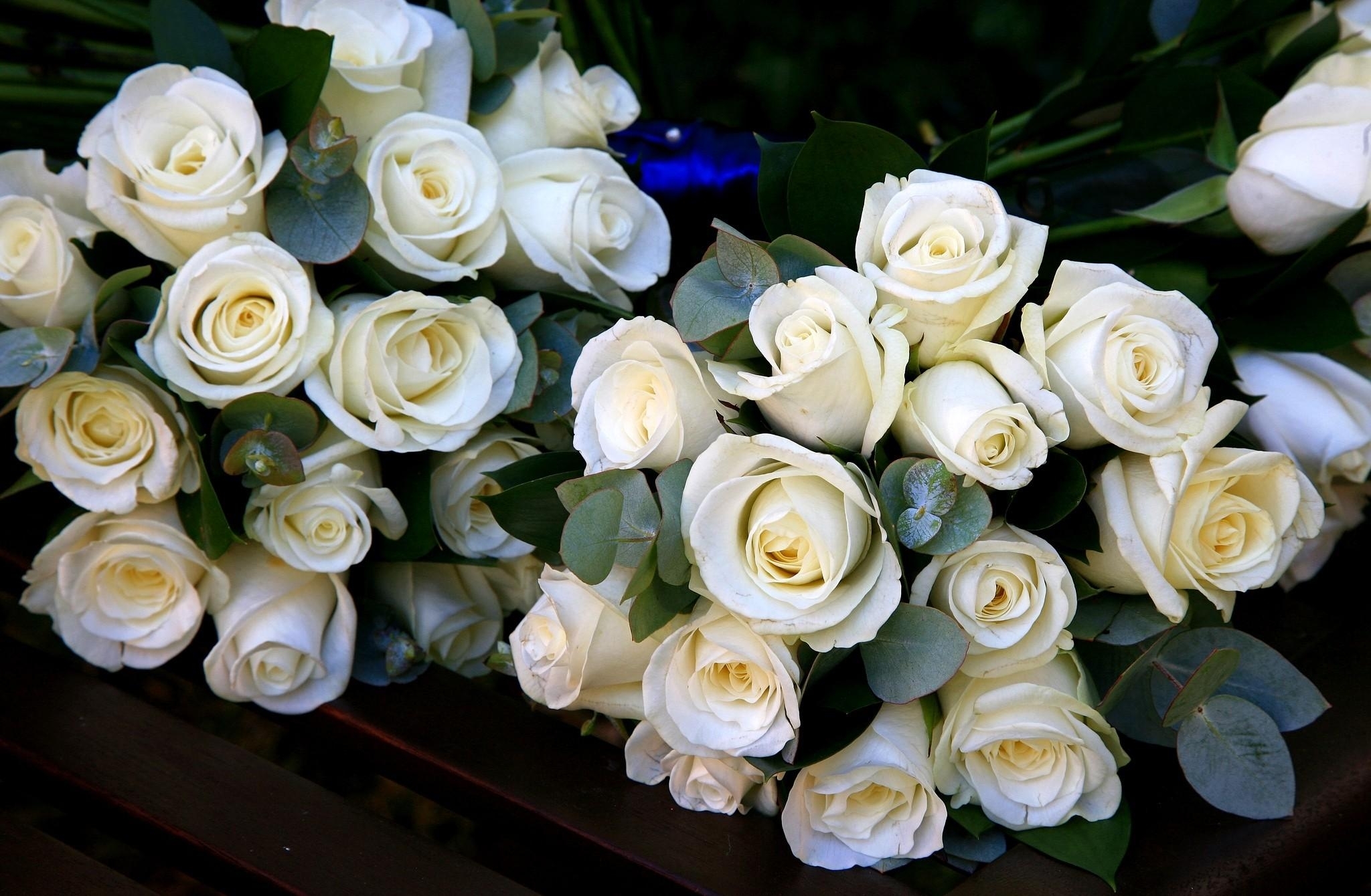 White roses with eucalyptus