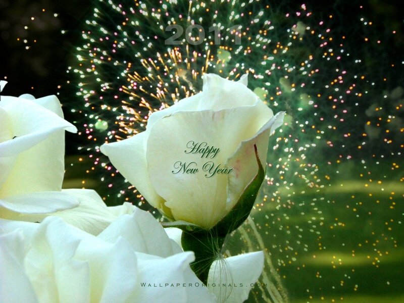 White Roses with Fireworks