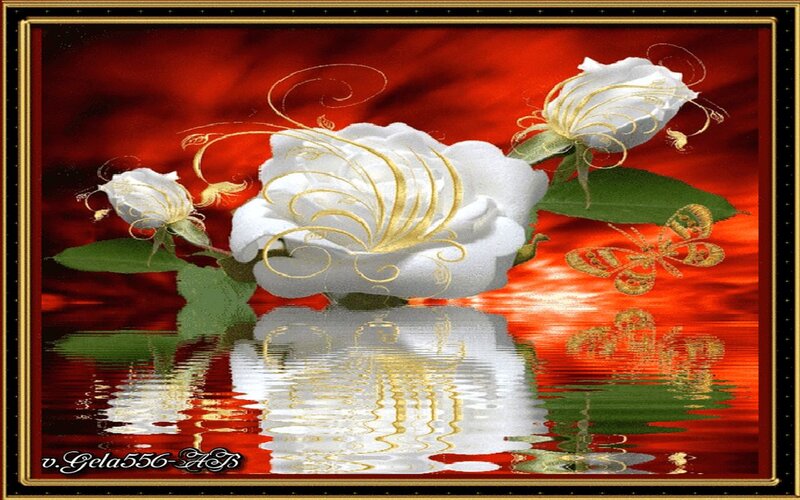 White Roses with Gold Swirls