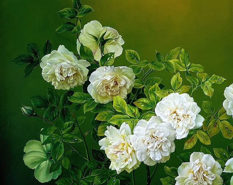 White Roses with Green Leaves — Serene, Painting, Flowers