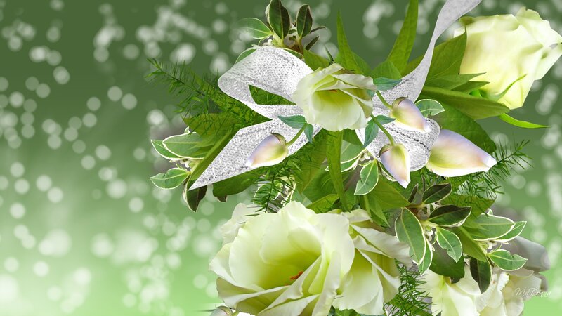 White Roses with Green Leaves — Serene
