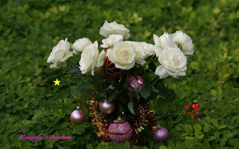 White Roses with Ornaments