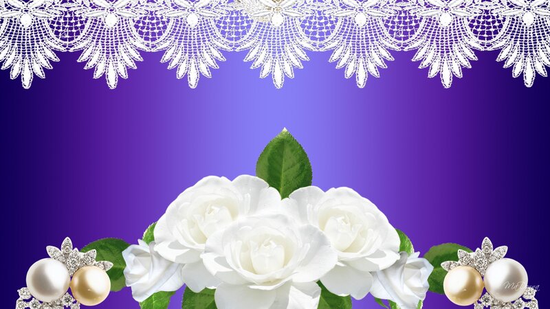 White Roses with Pearls — Purple