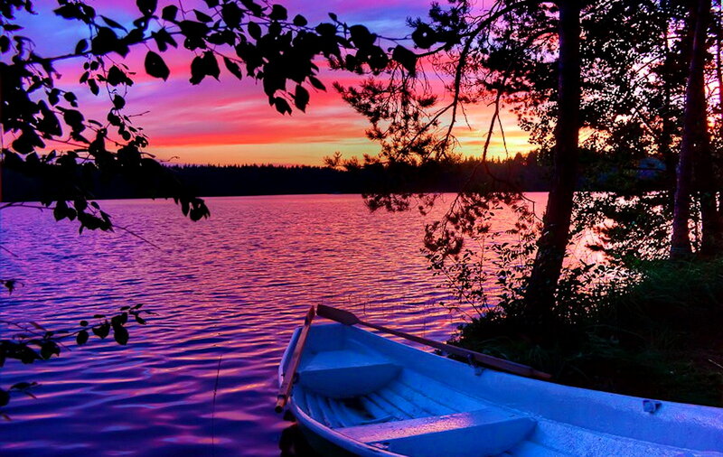 White Rowboat on Lake