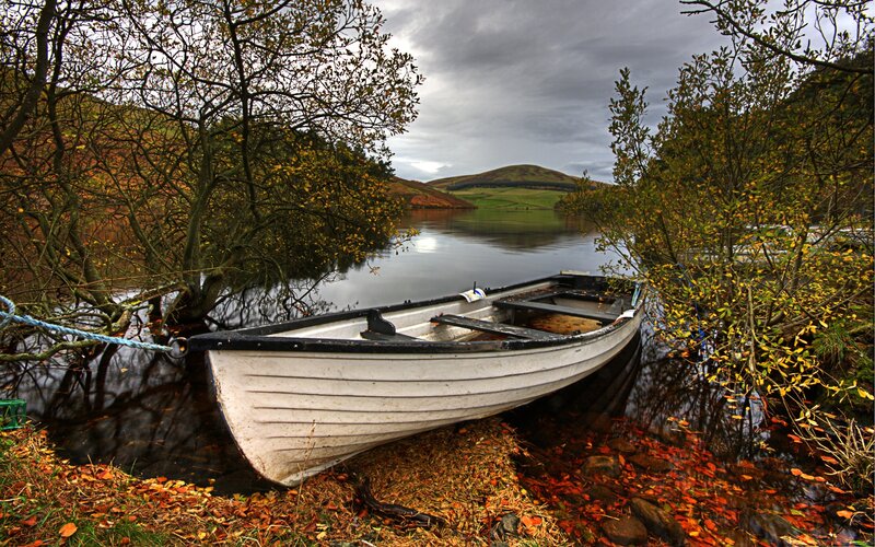 White Rowboat on Shore