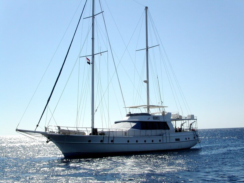 White Sailboat on Water