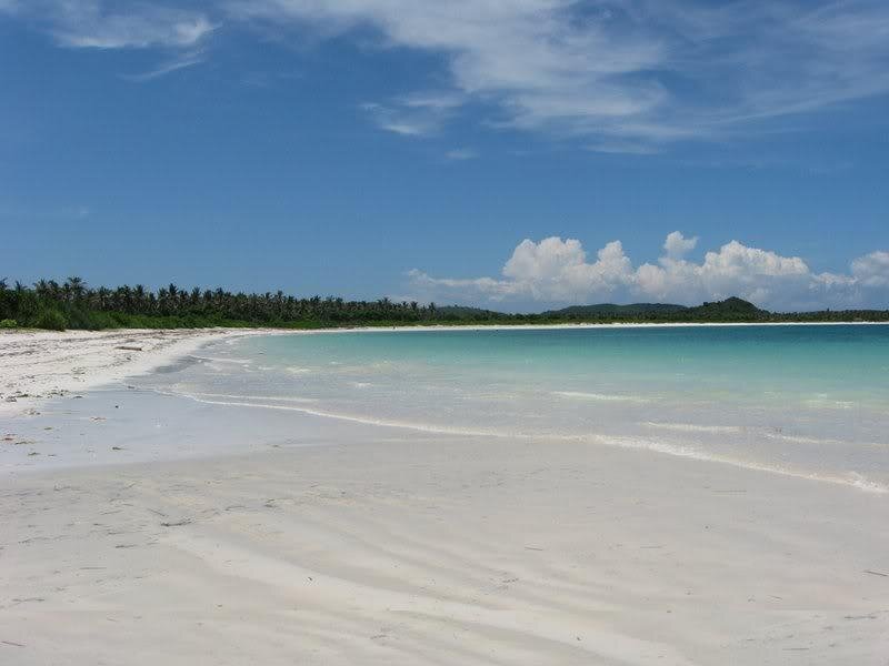 White Sand Beach — Blue, Serene, Afternoon, Photograph, Ocean, Palm Trees, Sky