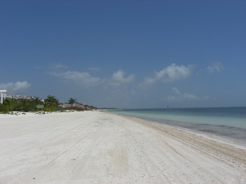 White Sand Beach — Blue, Serene, Afternoon, Photograph, Ocean, Palm Trees