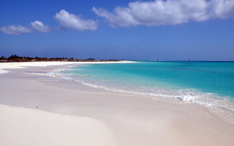 White Sand Beach — Blue, Serene, Afternoon, Photograph, Ocean, Sky, Palm Trees