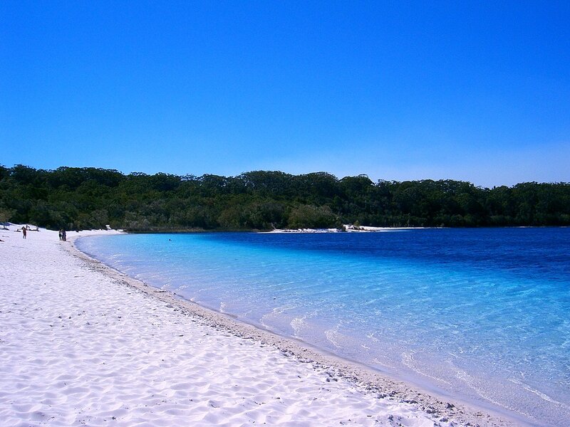White Sand Beach — Blue, Serene, Afternoon, Photograph, Ocean, Trees, People
