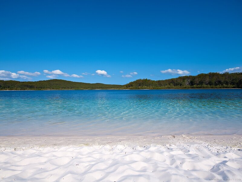 White Sand Beach — Blue, Serene, Afternoon, Photograph, Ocean, Trees, Sky, Green