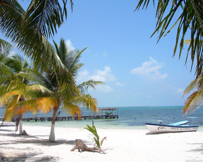 White Sand Beach — Blue, Serene, Afternoon, Photograph, Palm Trees, Boat