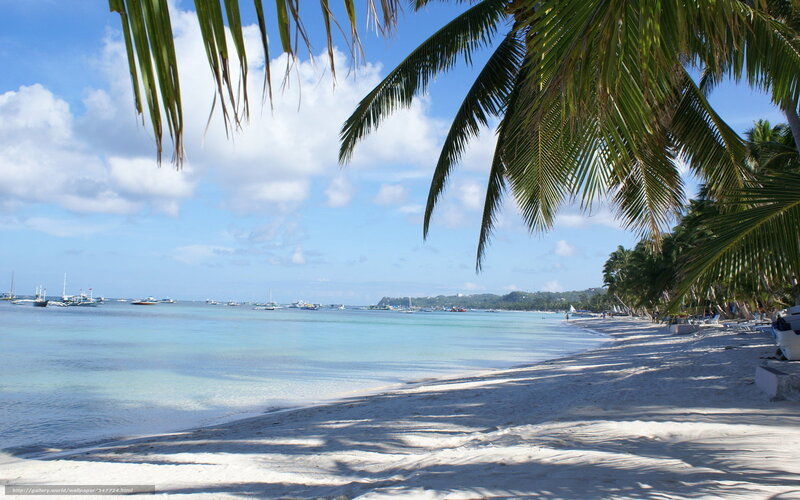 White Sand Beach — Blue, Serene, Afternoon, Photograph, Palm Trees, Boats
