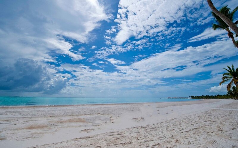 White Sand Beach — Blue, Serene, Afternoon, Photograph, Palm Trees, Ocean, Clouds