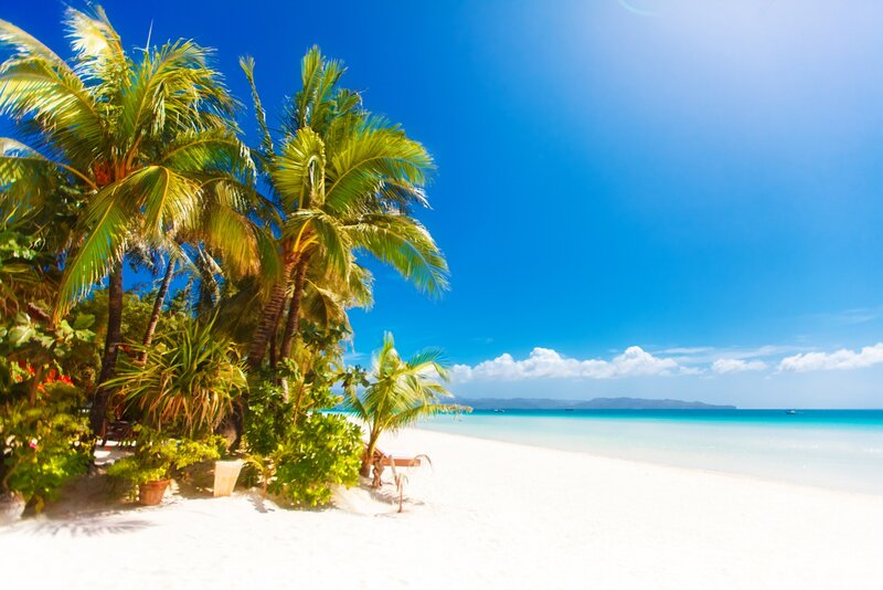 White Sand Beach — Blue, Serene, Afternoon, Photograph, Palm Trees, Ocean, Sky, Island