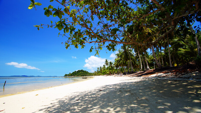 White Sand Beach — Blue, Serene, Afternoon, Photograph, Palm Trees, Ocean