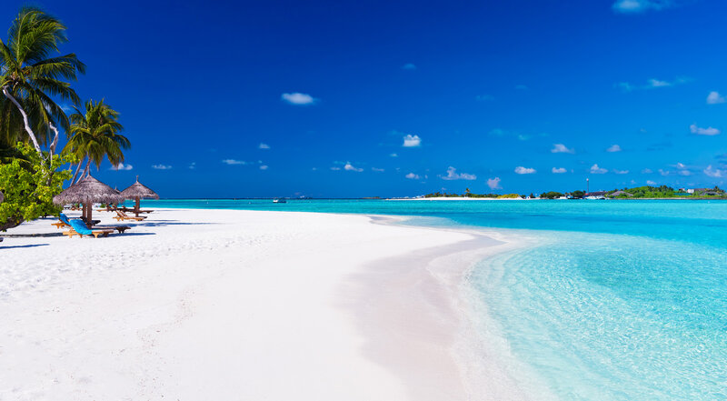 White Sand Beach — Blue, Serene, Afternoon, Photograph, Palm Trees, Thatched Umbrellas