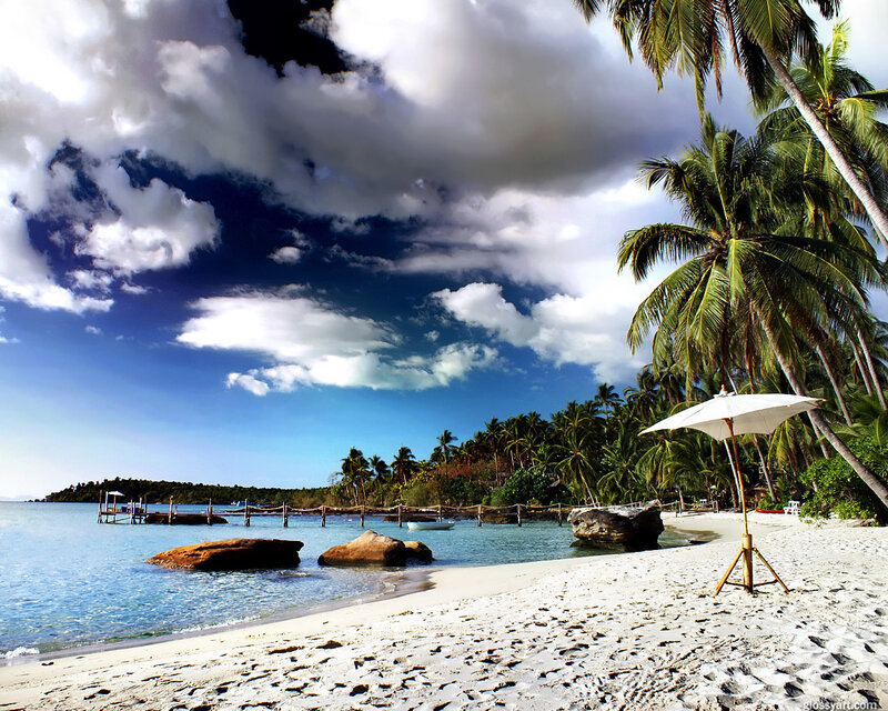 White Sand Beach — Blue, Serene, Afternoon, Photograph, Palm Trees, Umbrella