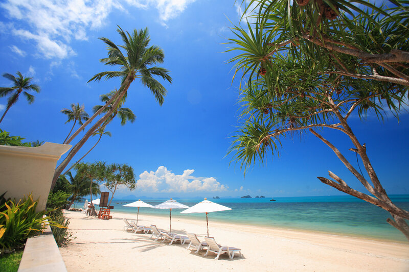 White Sand Beach — Blue, Serene, Afternoon, Photograph, Palm Trees, Umbrellas