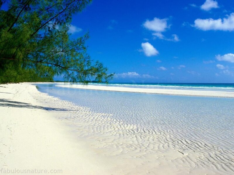 White Sand Beach — Blue, Serene, Afternoon, Photograph, Trees