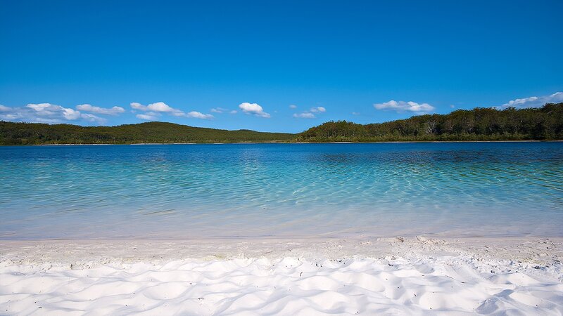 White Sand Beach — Blue, Serene, Afternoon, Photograph, Water, Trees, Green