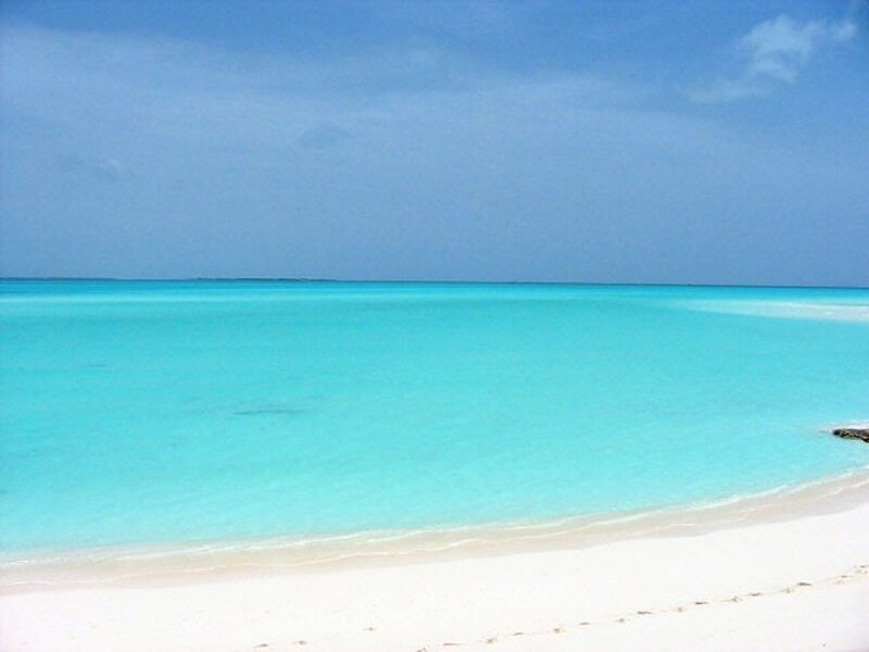 White Sand Beach — Blue, Serene, Afternoon