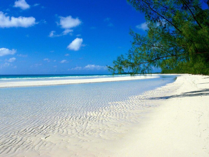 White Sand Beach — Blue, Trees