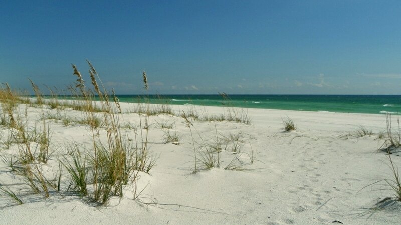 White Sand Beach — Serene, Afternoon, Photograph, Ocean