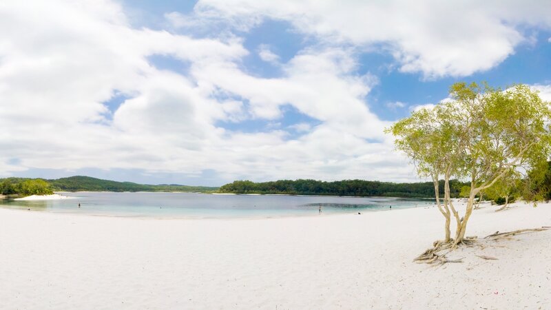 White Sand Beach — Serene, Afternoon, Photograph