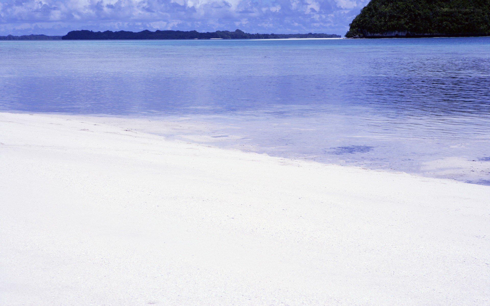 white sand beach with clear water