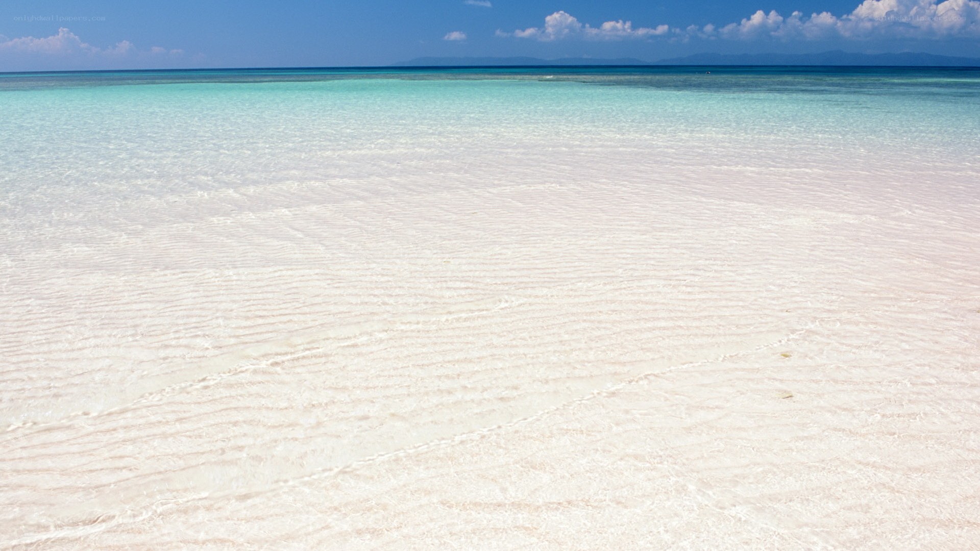 white sand beach with clear water