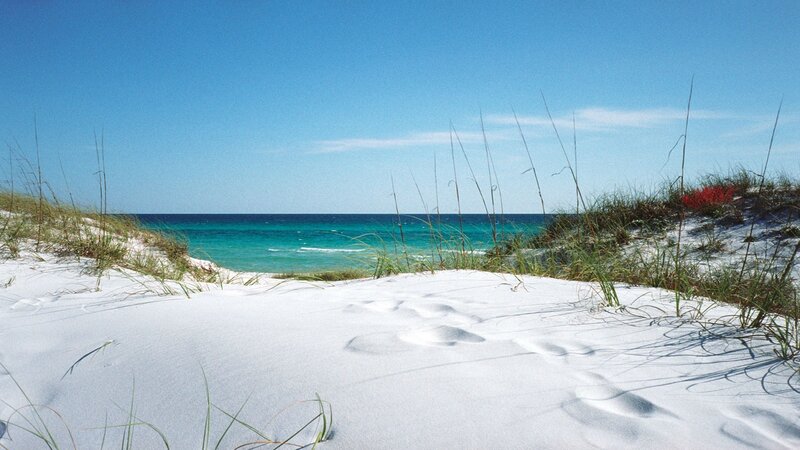 White Sand Dunes at Beach