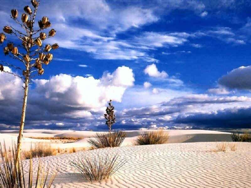 White Sand Dunes — Blue, Dramatic