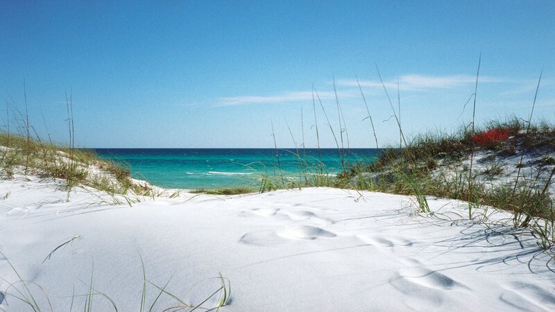 White Sand Dunes by Ocean