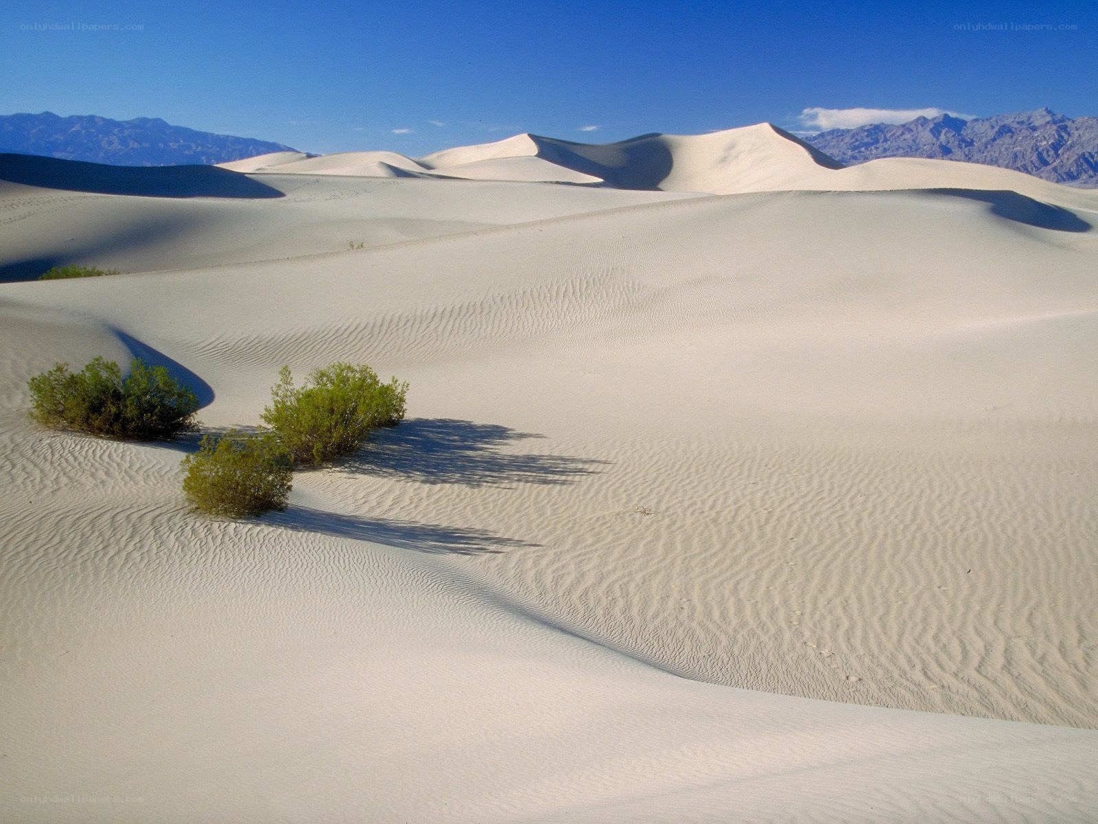 White sand dunes in desert