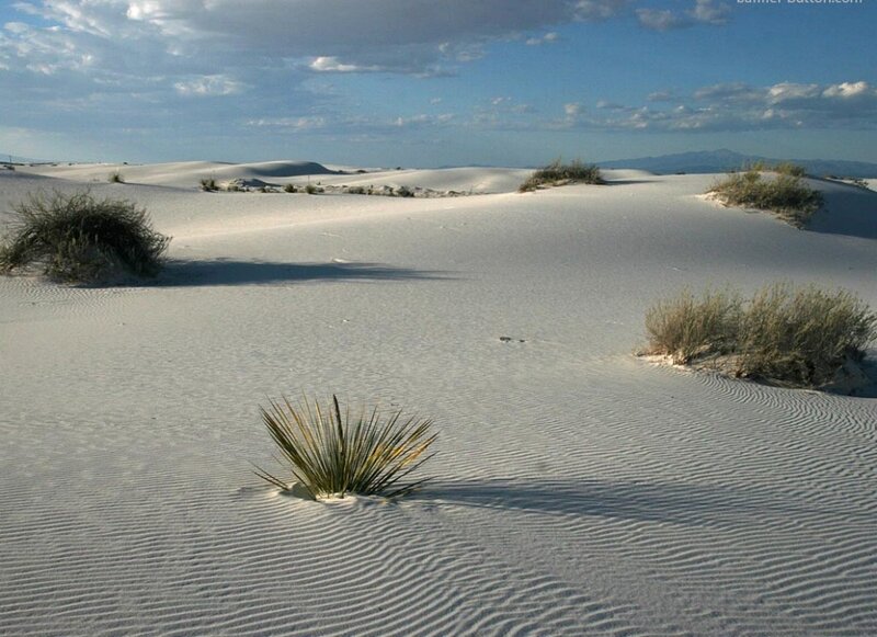 White Sand Dunes — Serene, Afternoon
