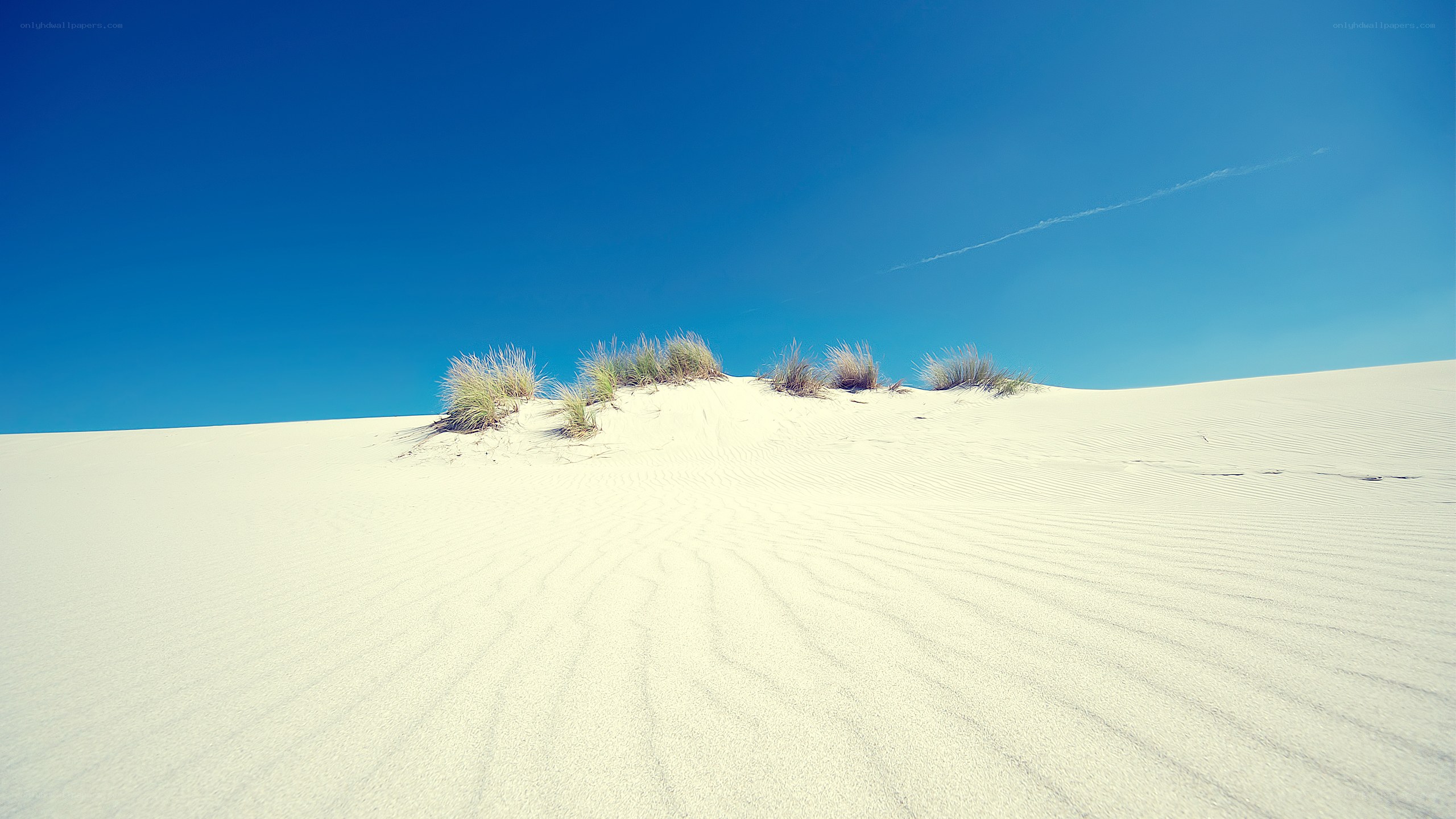 White sand dunes under blue sky