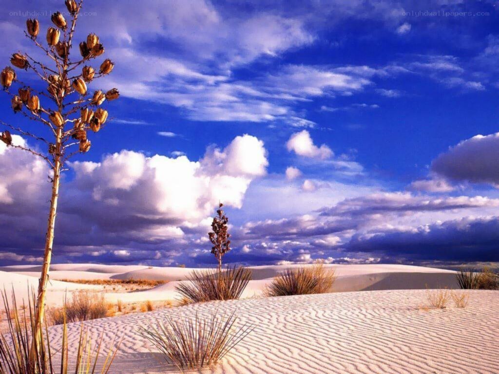 White sand dunes under blue sky