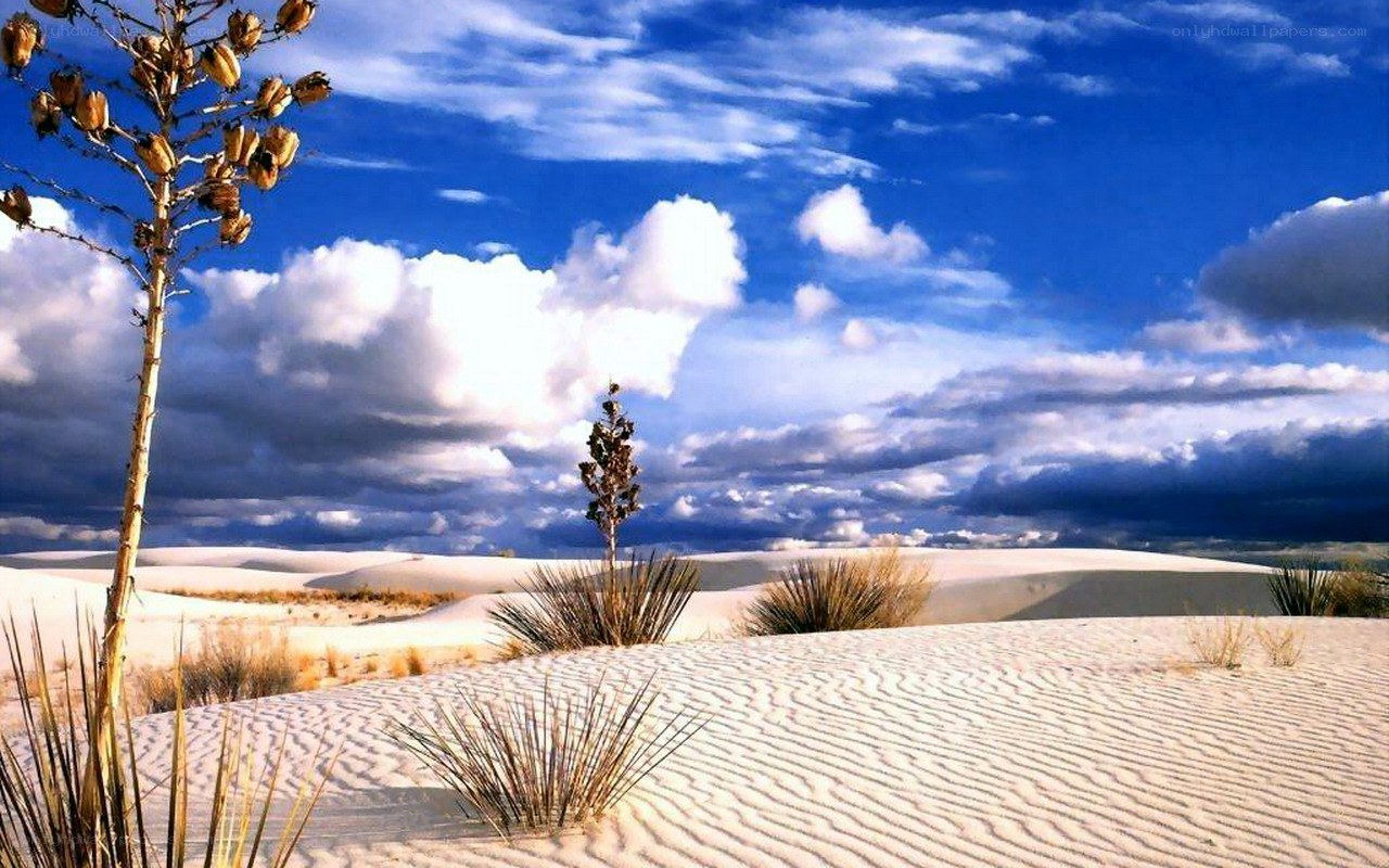 White sand dunes under blue sky