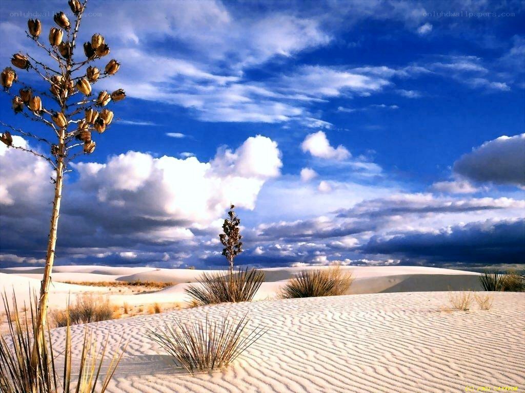 White Sands desert landscape
