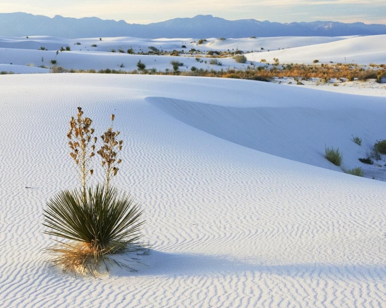 White Sands National Park