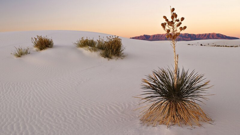 White Sands National Park at sunset