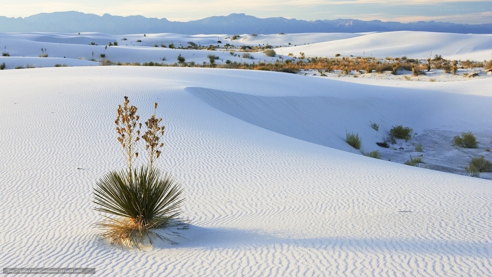 White Sands National Park