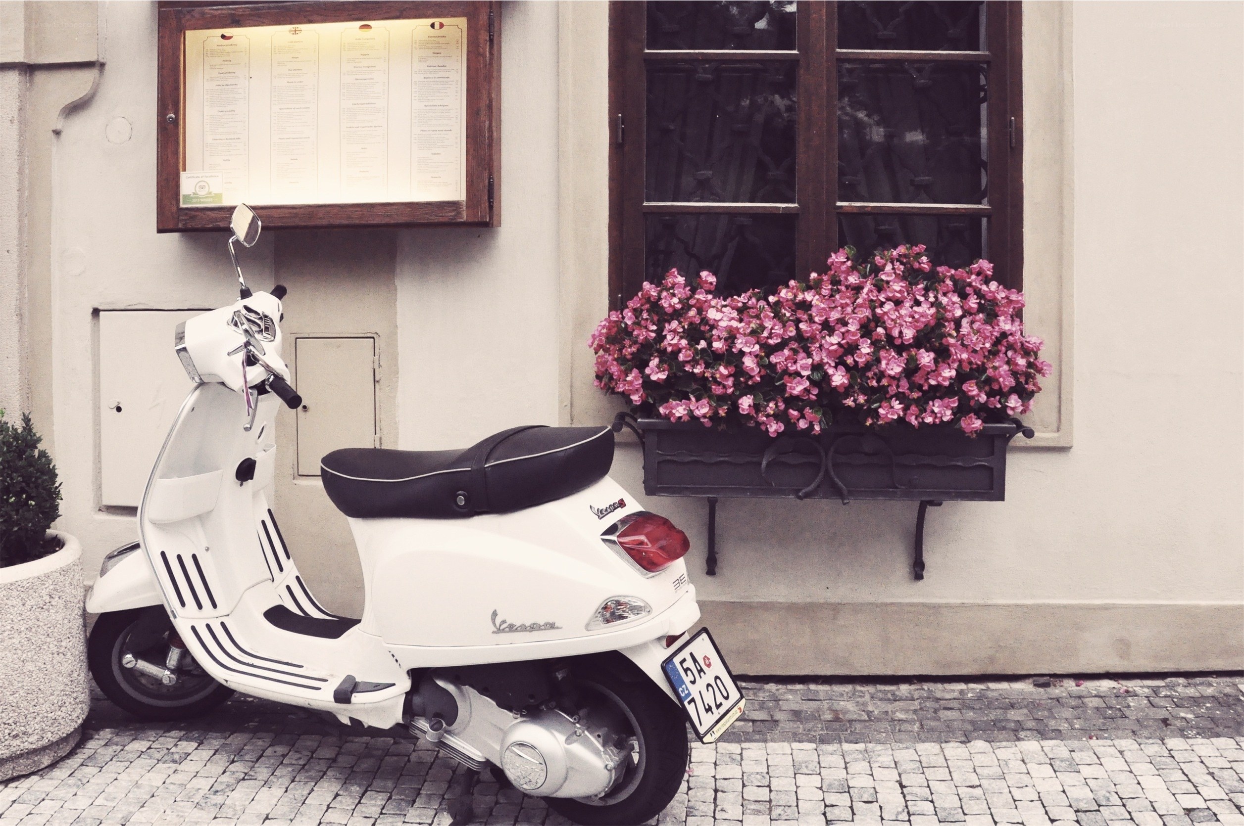 White scooter by flower box