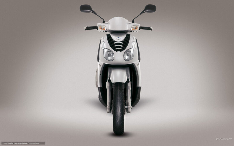 White Scooter — Gray, Neutral