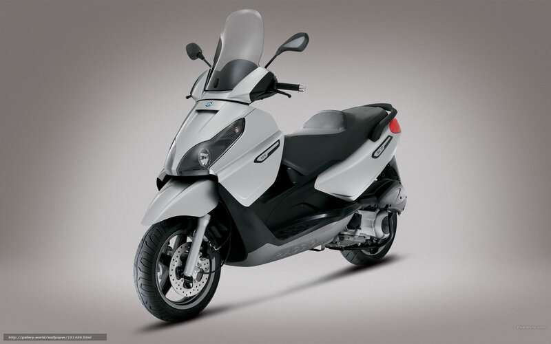 White Scooter — Gray
