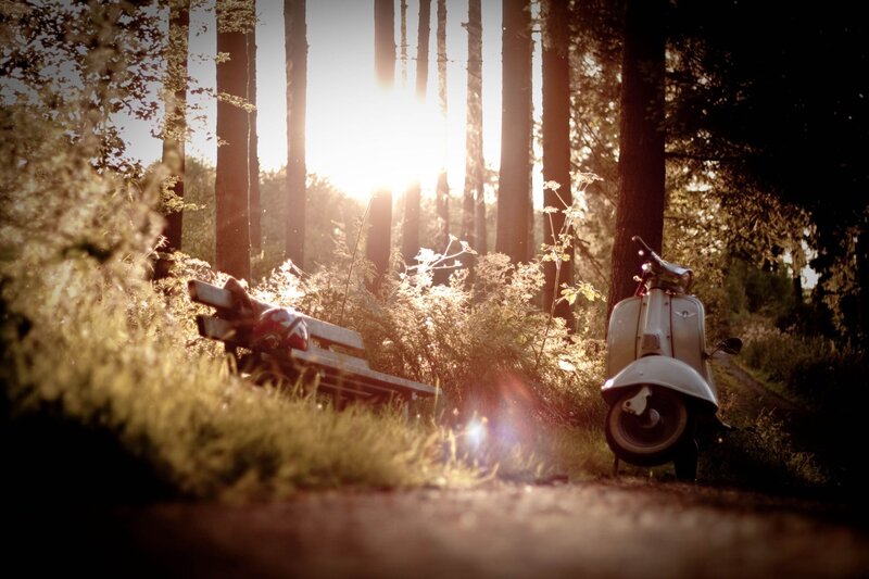 White Scooter in Forest