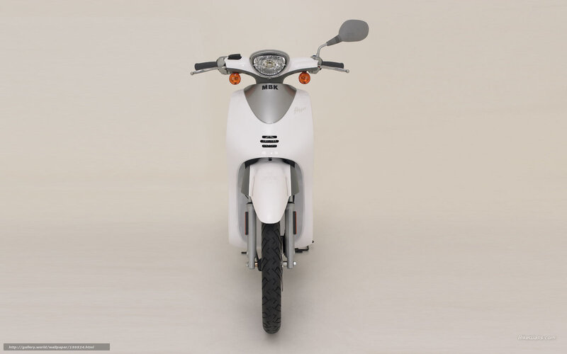 White Scooter — Neutral, Photograph, Handlebars, Headlight