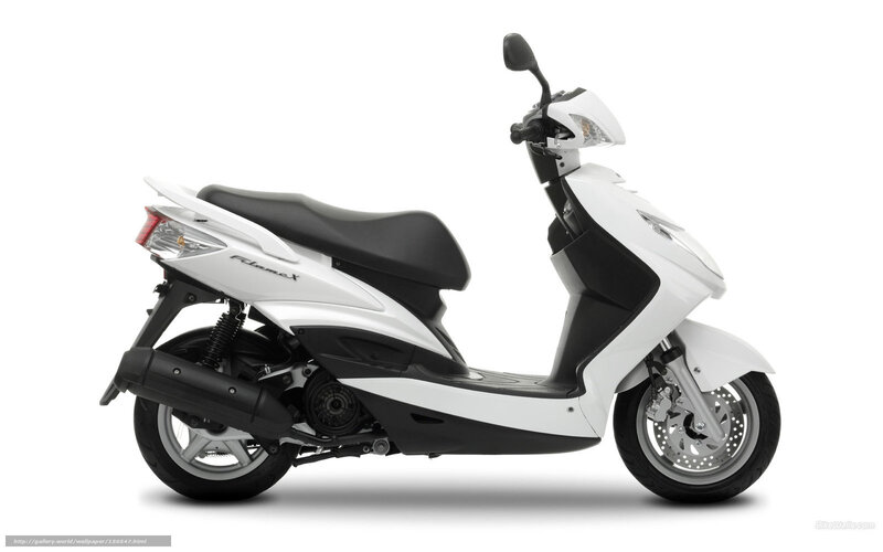 White Scooter — Neutral, Photograph, Seat, Exhaust