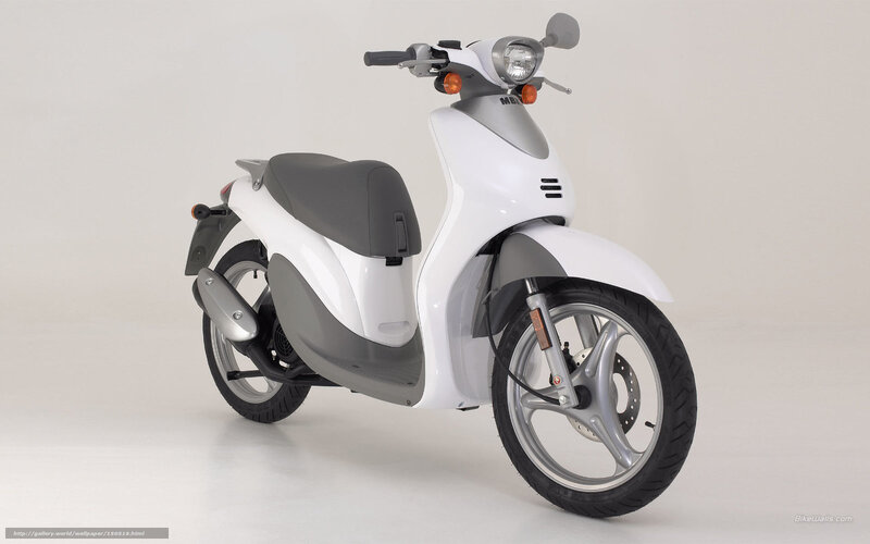White Scooter — Neutral, Photograph, Seat, Headlight, Wheel